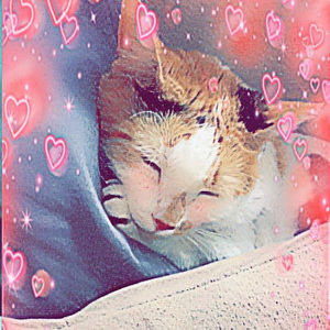 Meet your Posher, Marlene